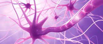 We did not find results for: Aubagio Y Lemtrada Confirman Su Eficacia En La Esclerosis Multiple Remitente Recurrente Esclerosis Multiple Informacion Y Tratamiento
