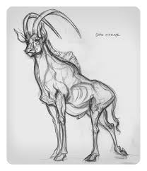 Jaw Cooper Animal Sketches Animal Drawings Animal Art