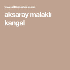Aksaray Malakli Kangal