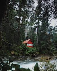 Pin By Donald Works On Lovely Spaces Cottage In The Woods Cabins And Cottages Cabins In The Woods