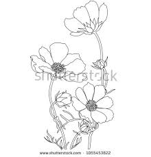 Free Images Vector Icon Photo For Personal Commercial Use Flower Drawing Flower Line Drawings Flower Sketches