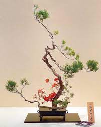 See more ideas about ikebana, bonsai, bonsai tree. 11 Enshu Ideas Arrangement Ikebana Flower Arrangements