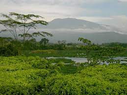 Best Time To Visit Costa Rica Rainy Dry Seasons Months Moving To Costa Rica Visit Costa Rica Costa Rica Tour