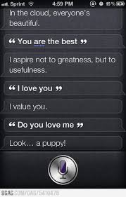 Puppy Zoned Funny Siri Questions Funny Questions Good Comebacks