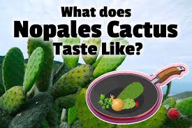 Where he said to rinse the cuttings and dry, i guess i overdid it with the rinsing. What Does Nopales Cactus Taste Like Kitchen Appliance Hq