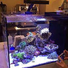 Amazon Com Hipargero Led Aquarium Light 30w Aquarium Led Lights Saltwater Lighting With Touch Control And 3w Cree C Saltwater Fish Tanks Aquarium Fish Tank
