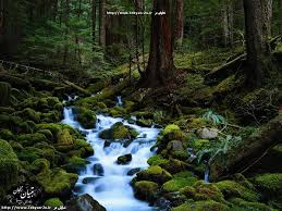Image result for ‫عکس طبیعت‬‎