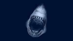 Looking for the best wallpapers? 3d Shark Wallpaper Download To Your Mobile From Phoneky