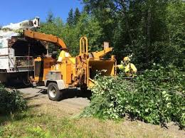 Wood Chipping Services Tree Service Mulch Tree Care