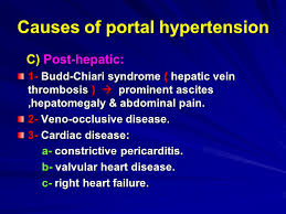 Portal Hypertension Ppt Video Online Download