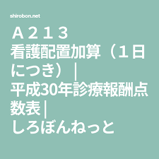 ａ２１３ 看護配置加算 １日につき 平成30年診療報酬点数表 しろぼんねっと 就職活動 看護 放射線治療