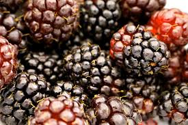 Boysenberry Wine Recipe D I Y Relax Every Berry Has A Unique Use And Guess What Boysenberry Is For Wine In 2020 Wine Recipes Liqueurs Recipes Berries