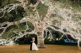 Best views in houston for photos. 10 Gorgeous Houston Wedding Venues For Your Special Day