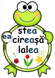 Astfel, litera nu redă un anumit sunet, ci indică valoarea așadar, în cuvintele care conţin şi litere lipsite de valoare fonetică numărul de sunete este mai mic decât numărul de litere. Grupurile De Sunete Oa Ea Ia Ie Ua UÄ PlanÈe Èi Poezii