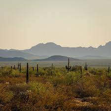 Jbs employee reviews in cactus, tx. How U S Policy Turned The Sonoran Desert Into A Graveyard For Migrants The New York Times