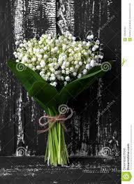 Bouquet de muguet gratuit avec text : Le Muguet Sur Le Fond En Bois Fonce Bouquet Du Muguet L Espace Pour Le Texte Photo Stock Image Du Salutation Cloche 104549764