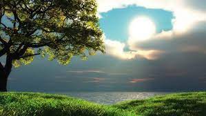 Beautiful Green Nature Wallpapers New Nature Wallpaper Best Nature Wallpapers Hd Best Nature Wallpapers