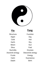 Differences Between Yin And Yang Yin Yang Yin Yang Tattoos Ying Yang Tattoo