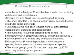 We would like to show you a description here but the site won't allow us. Virus Entomopatogen Lanjutan By Irda Safni Baculoviridae Granulosis