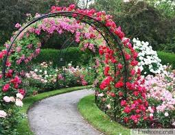 Metallbogen Sind Schone Gartendekorationen Kombiniert Mit Bluhenden Pflanzen Gartengestatung 2019 Rose Garden Design Garden Arches Garden Arbor