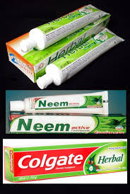 Sikat Gigi Blog Ari Dharmayanti