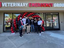 Maybe you would like to learn more about one of these? Emergency Veterinary Hospital Opens In San Ramon San Ramon Ca Patch