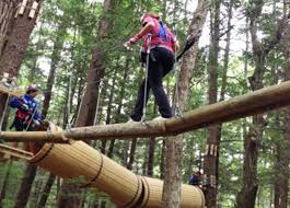 Wild acres rv resort & campground photos. Wild Acres Rv Resort Bookyoursite