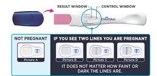 How soon can clearblue digital detect pregnancy? Horizontal Line On Clear Blue Early Pregnancy Test