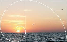 It also matters where you place everything else in the picture. Using The Golden Ratio For Dog Photography 123rf