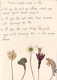 Flower Quotes Tumblr Garden Quote Words Words Quotes Inspirational Words