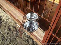 Dog Hotel Dog Fence Dog House