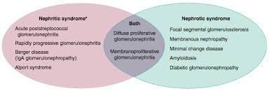 Nephrotic Vs Nephritic Syndrome Mnemonic Nephritic