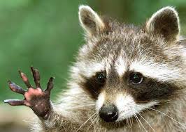 Pin On Things I Love