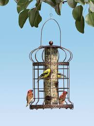 Bird Feeder Protection From Squirrels Edwardian Bird Feeder Squirrel Resistant Bird Feeder Bird Feeders Humming Bird Feeders Squirrel Resistant Bird Feeders