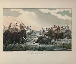 Asian Hunting Photos[HUNTING ANIMALS ...