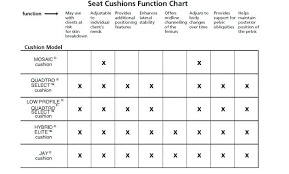 Throw Pillow Sizes Chart Aadvark