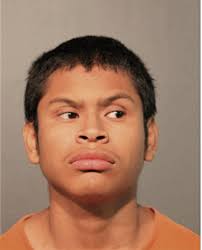 ᐅ Illinois Criminal Records 2009-2025