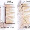 Chair rail height is usually 36 in. Https Encrypted Tbn0 Gstatic Com Images Q Tbn And9gcsi8wcbj7r8 Dawmihebwzjbdmrtyekdsnleukrdy5bc2nb0mzt Usqp Cau
