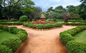 A visit to a botanical garden simple essay. Top 8 Botanical Gardens Of India National Botanical Garden