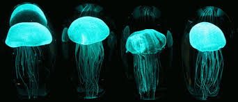 Jellyfish Nightlight As Natural As It Gets Lightpublic The Latest In Lighting And Interior Desi Bioluminescent Jellyfish Jellyfish Lamp Amazing Jellyfish