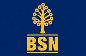 Pengajuan pinjaman bank bca untuk modal usaha. Pinjaman Peribadi Malaysia Banks Logo Bsn Personal Loans