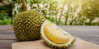 Durian musang king ini hampir tanpa biji loh boss, daging tebal pasti nya. Cara Tanam Durian Monthong Malaysia