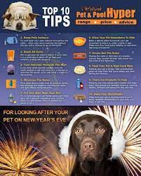 Be Careful And Protect Your Pets Here Are 10 Tips On How To Look After Your Pet On New Year S Eve Petcare Fireworks Pets Your Pet Pet Care Tips