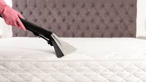 How to Sanitize Your Mattress in Compton - My Steam Green Carpet Cleaning