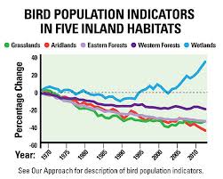 Birds Are On The Rebound Or Not Mogreenstats