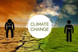 Humans are increasingly influencing the climate and the earth's temperature by burning fossil fuels, cutting down forests and farming livestock. Climate Change Impacts In The Gcc Ecomena