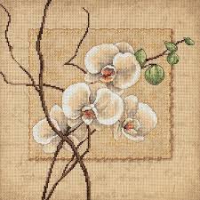 Aida 14, cream 167w x 164h stitches size(s): Dimensions Oriental Stitch Kit Orchids