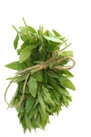 How does lemon verbena work? Lemon Verbena Sidrunaloisia Aloysia Triphylla