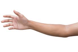 Kelincahan adalah modal yang paling utama dalam permainan olahraga bulu tangkis, terutama ketika melakukan pergerakan kaki dan pukulan. Ini Fungsi Setiap Bagian Tangan Manusia Yang Perlu Diketahui