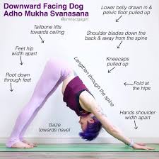 1 545 Likes 136 Comments Laura Large Omniyogagirl On Instagram Triyogaschool Our April Focus Is On Yoga Tutorial Downward Facing Dog Hamstrings